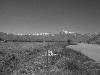 [thumbnail of Picture 29]