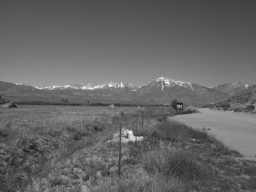 Image3405.web.jpg
