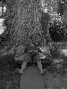 [thumbnail of Picture 30]