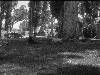 [thumbnail of Picture 31]
