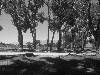 [thumbnail of Picture 32]
