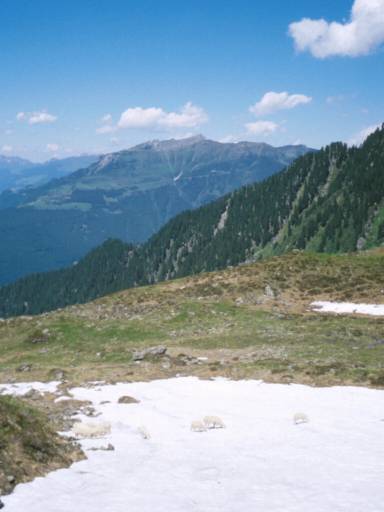 Image40.web.jpg