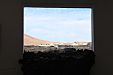 thumbs/thumb_Pictures_2012_01_04_IMG_0349.JPG