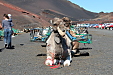 thumbs/thumb_Pictures_2012_01_05_IMG_0454.JPG