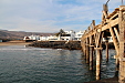 thumbs/thumb_Pictures_2012_01_06_IMG_0543.JPG