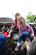 thumbs/thumb_Pictures_2012_05_19_IMG_1929.JPG