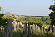 thumbs/thumb_Pictures_2012_05_25_IMG_2228.JPG