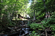 thumbs/thumb_Pictures_2012_08_02_IMG_2650.JPG