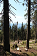 thumbs/thumb_Pictures_2012_08_02_IMG_2653.JPG