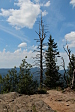 thumbs/thumb_Pictures_2012_08_02_IMG_2670.JPG