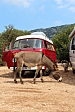 thumbs/thumb_Pictures_2012_09_10_IMG_2856.JPG