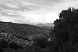 thumbs/thumb_Pictures_2012_09_13_IMG_2988.JPG