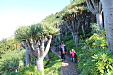 thumbs/thumb_Pictures_2013_01_06_IMG_3943.JPG