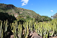 thumbs/thumb_Pictures_2013_01_06_IMG_3949.JPG