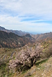 thumbs/thumb_Pictures_2013_01_08_IMG_3984.JPG