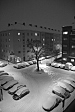thumbs/thumb_Pictures_2013_01_17_IMG_4037.JPG