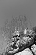 thumbs/thumb_Pictures_2013_04_02_IMG_4293.JPG