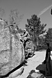 thumbs/thumb_Pictures_2013_04_02_IMG_4324.JPG