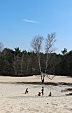 thumbs/thumb_Pictures_2013_04_02_IMG_4332.JPG