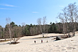 thumbs/thumb_Pictures_2013_04_02_IMG_4333.JPG