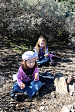 thumbs/thumb_Pictures_2013_12_30_IMG_6804.JPG
