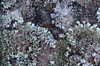 thumbs/thumb_Pictures_2014_01_06_IMG_6978.JPG