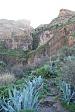 thumbs/thumb_Pictures_2014_01_06_IMG_6979.JPG