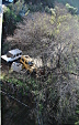 thumbs/thumb_Pictures_2014_01_06_IMG_6984.JPG