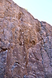 thumbs/thumb_Pictures_2014_01_07_IMG_7026.JPG