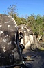 thumbs/thumb_Bertram_Foto_5.JPG