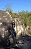 thumbs/thumb_Bertram_Foto_6.JPG