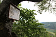 thumbs/thumb_Pictures_2014_06_17_IMG_7809.JPG