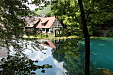 thumbs/thumb_Pictures_2014_06_19_IMG_7838.JPG