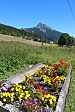 thumbs/thumb_Pictures_2014_08_22_IMG_8564.JPG