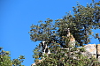 thumbs/thumb_Pictures_2014_09_01_IMG_8711.JPG