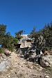 thumbs/thumb_Pictures_2014_09_01_IMG_8712.JPG