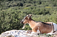 thumbs/thumb_Pictures_2014_09_01_IMG_8721.JPG