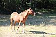 thumbs/thumb_Pictures_2014_09_01_IMG_8749.JPG