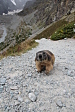 thumbs/thumb_Pictures_2014_09_05_IMG_8870.JPG