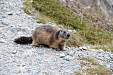 thumbs/thumb_Pictures_2014_09_05_IMG_8872.JPG