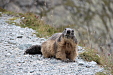 thumbs/thumb_Pictures_2014_09_05_IMG_8873.JPG