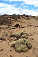 thumbs/thumb_Pictures_2014_10_28_IMG_9121.JPG