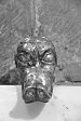 thumbs/thumb_Pictures_2014_10_29_IMG_9168.JPG