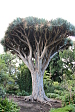 thumbs/thumb_Pictures_2014_10_29_IMG_9175.JPG