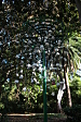thumbs/thumb_Pictures_2014_10_31_IMG_9254.JPG