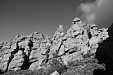 thumbs/thumb_Pictures_2014_11_01_IMG_9275.JPG