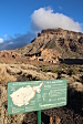 thumbs/thumb_Pictures_2014_11_01_IMG_9293.JPG