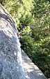 thumbs/thumb_Pictures_2015_08_28_IMG_0996.JPG