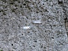 thumbs/thumb_Camera_2026_06_06_PXL_20260423_172759250.jpg