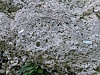 thumbs/thumb_Camera_2026_06_06_PXL_20260423_172809257.jpg